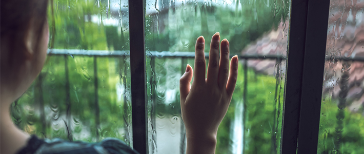雨