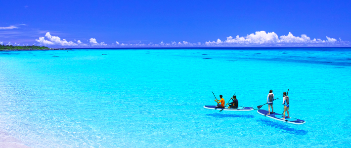 海