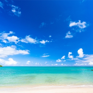 海