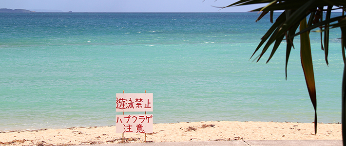 海
