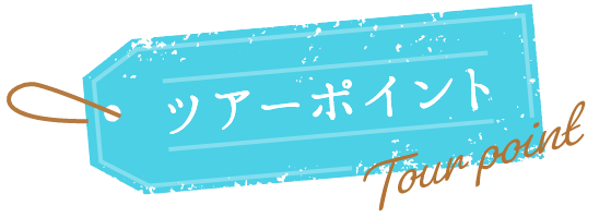 ツアーポイント